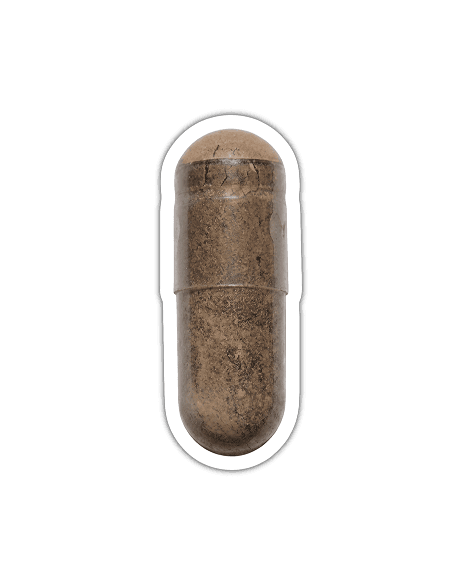Brennnessel (Bio)
