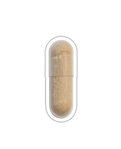 Multivitamin Komplex