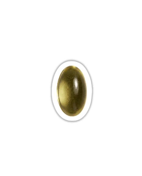 Omega 3 Vegan