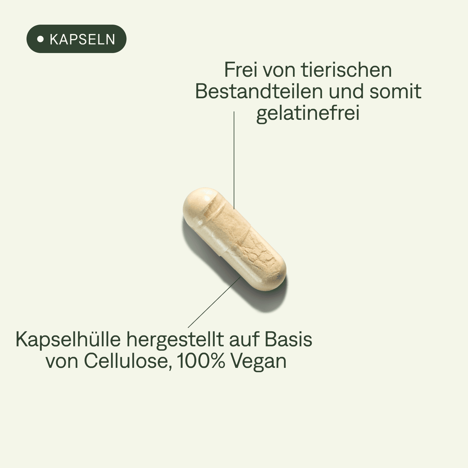 Energie Tagespacks