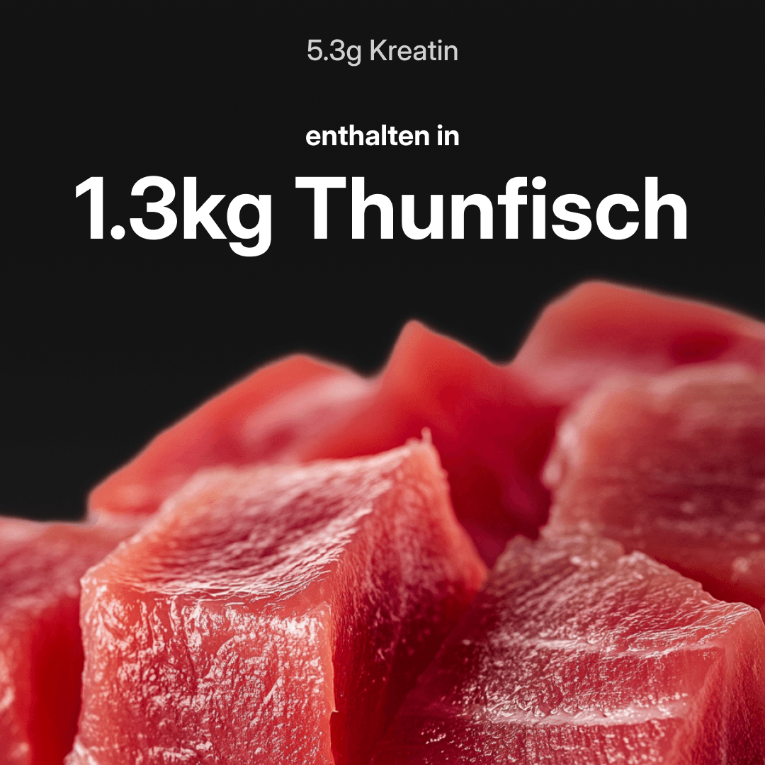 Kreatin PRO Tagespacks (5,3g reines Kreatin/Tag)