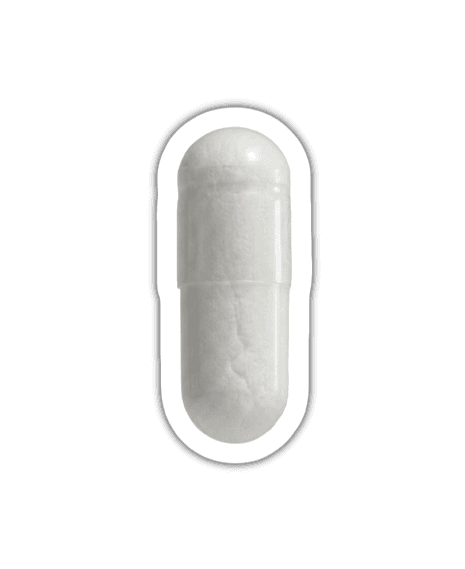 Kreatin (Kreatin-Monohydrat)