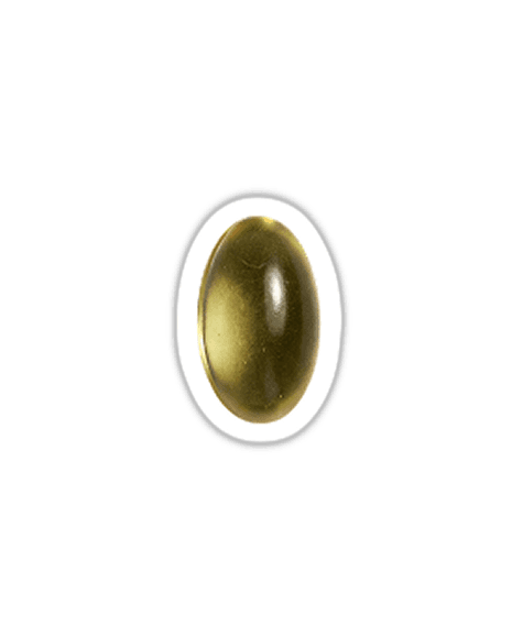 Omega 3 Vegan