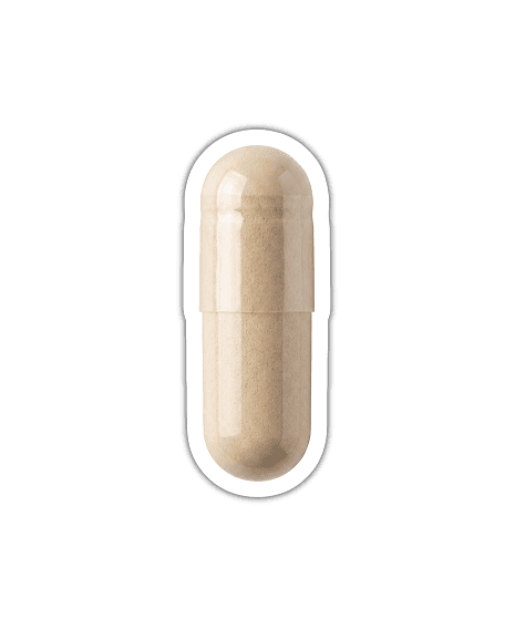 Spermidin XL