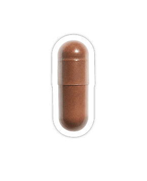 OPC Traubenkernextrakt